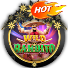 Wild Bandito